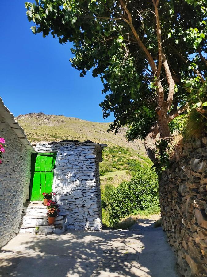 La Maestra Vila Trevélez Exterior foto