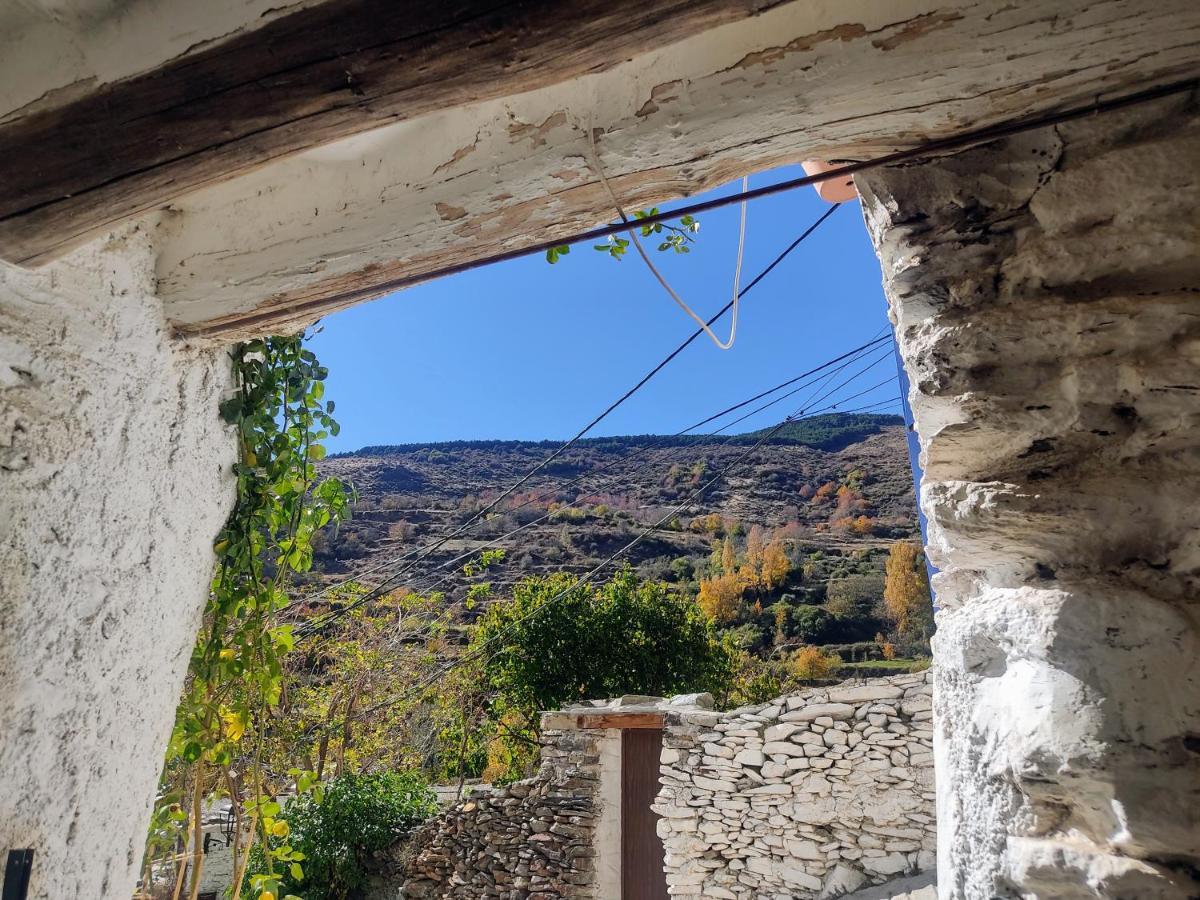 La Maestra Vila Trevélez Exterior foto